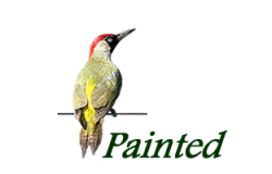 Painted Furniture